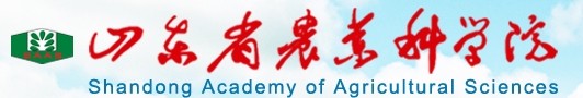 山東農業(yè)科學院大米真空包裝袋案例展示